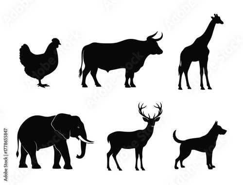 Animal Silhouettes – Vector Set of Chicken, Bull, Giraffe, Elephant, Deer, and Dog