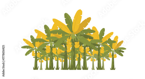 Lush banana trees laden with ripening fruit create a vibrant tropical oasis, perfect for adding a touch of paradise to any design project