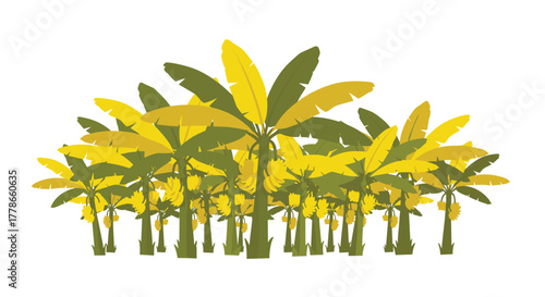 Lush banana trees plantation in tropical climate with ripe yellow fruit for exotic food and agricultural business projects looking for freshness