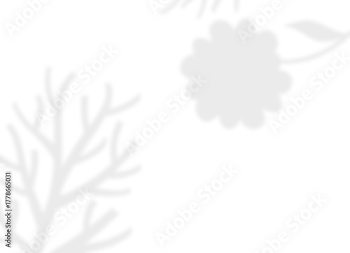 Soft Floral Branch Shadow Overlay