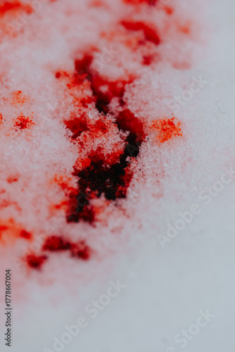 Crime Scene.Red blood wallpaper.A red stain on a snowy ground. 