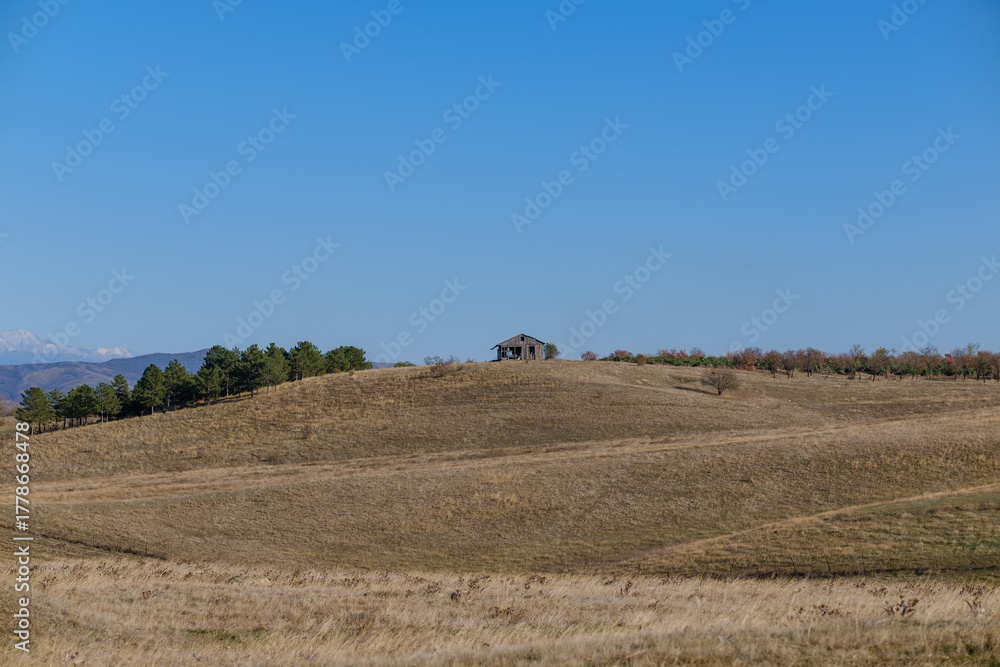 Obraz premium A solitary wooden cabin sits on a gentle hill in a wide open field. A line of pine trees and distant hills frame the scene beneath a bright, calm blue sky.