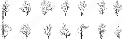 Set of bare tree branch silhouettes in various natural shapes. Winter or autumn tree vectors ideal for design, illustration, and landscape art. Realistic and minimalist tree graphics.