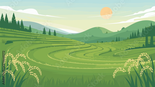 Green Rice Field Landscape with Mountain Scenery Vector