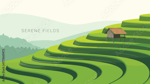 Serene Fields Rice Terraces Landscape Vector Illustration