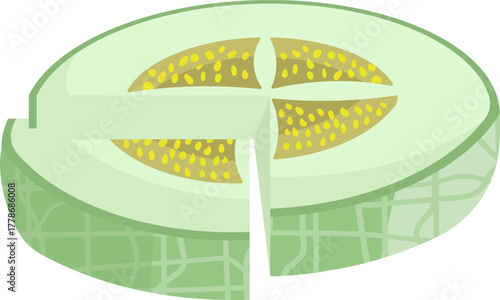 Quartered Green Melon Fruit Illustration with Seeds. Fresh and Healthy Food Concept.