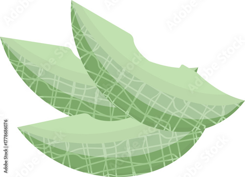 Refreshing green melon slices vector illustration, healthy and sweet fruit for summer dessert