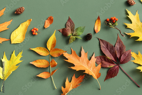 Different autumn leaves and...