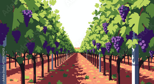 Stylized illustration of a vineyard with rows of grapevines and ripe purple grapes.