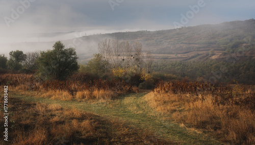 Foto Autumn landscape with trees, grass, hills, and misty sky creating a peaceful and