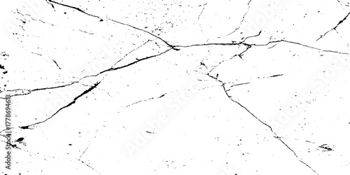 stained and scratched grunge texture with black veins, White and black grainy grunge overlay texture with dust effect, old and dusty grainy grunge Abstract black particulate explosion on white.	