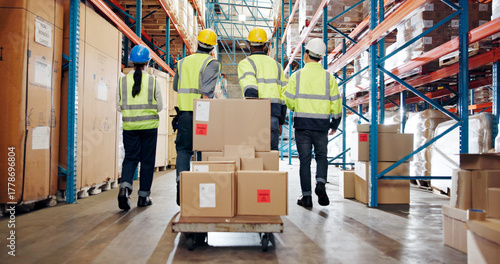 Logistics, boxes or people with cart in warehouse for package delivery, transport stock or teamwork. Shipping picker, back of group and walking with trolley for inventory export and backlog control