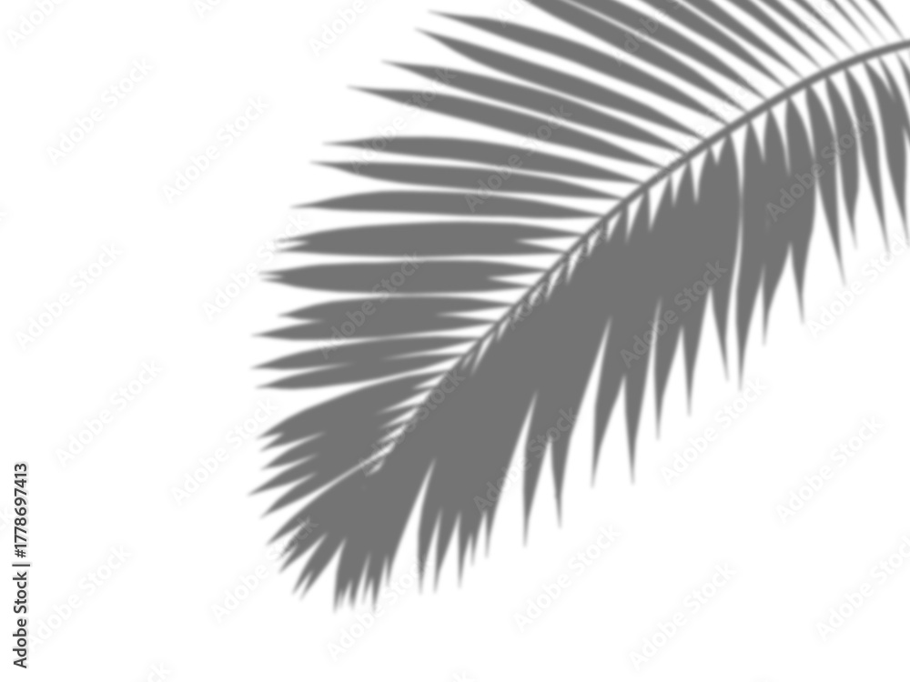 Fototapeta premium Palm leaf shadow overlay effect, tropical leaves shadows isolated on transparent png background