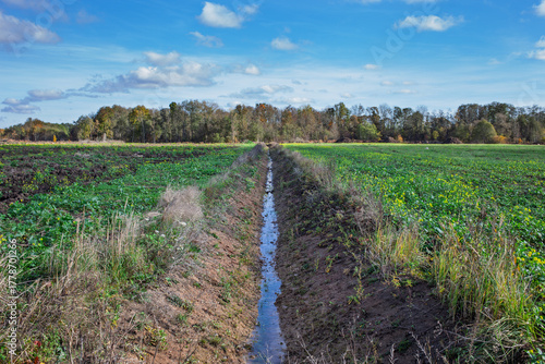 A perfect new ditch in a newly acquired agricultural field.