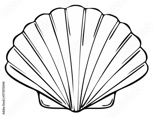 Stylized black and white line drawing of a scallop seashell.