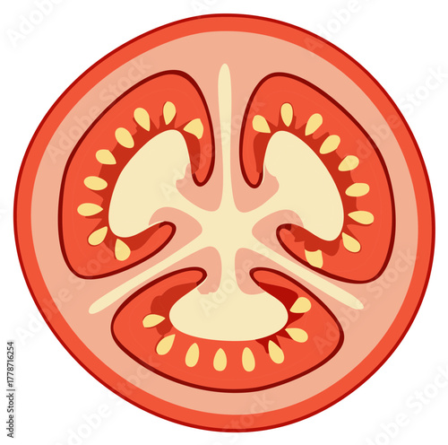 Cross-section illustration of a fresh, ripe tomato, showing seeds and flesh in detail.