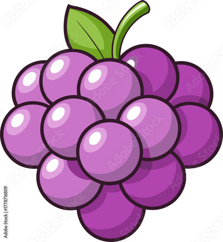 Grape Vector Illustration | Fresh Purple Fruit Clipart | Sweet Organic Food Design