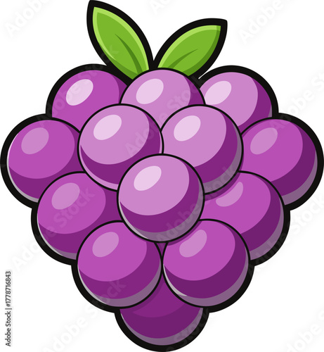 Grape Vector Illustration | Fresh Purple Fruit Clipart | Sweet Organic Food Design