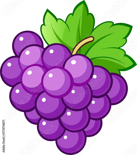 Grape Vector Illustration | Fresh Purple Fruit Clipart | Sweet Organic Food Design