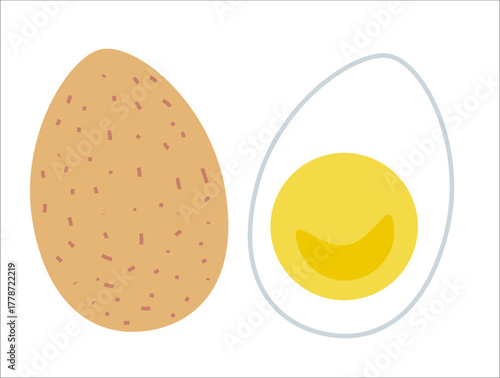 Boiled Egg Illustration Whole and Halved