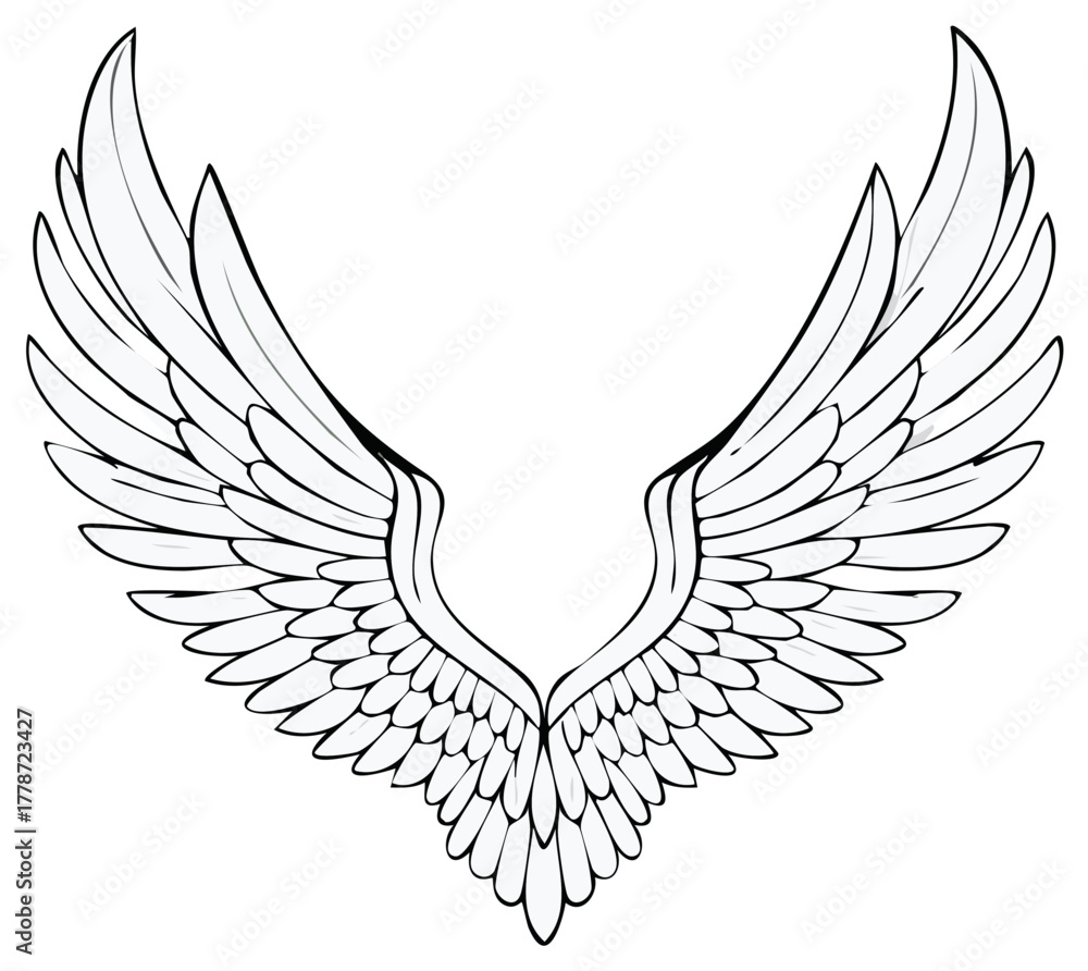 Obraz premium Vector illustration of angel or bird wings with detailed feathers.