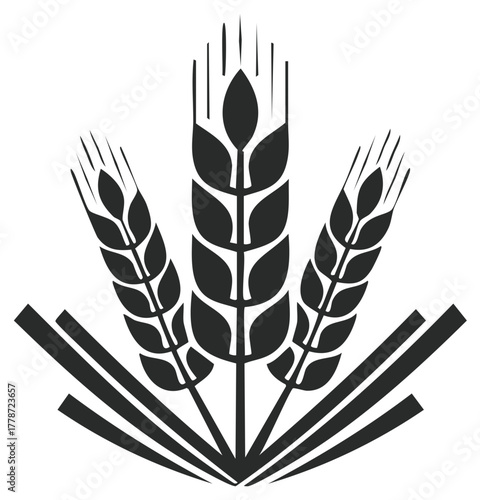 Wheat Stalks Bundle Harvest Icon Wheat Grain Plant Food Symbol