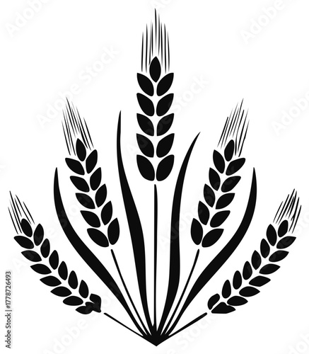 Stylized illustration of wheat stalks in black and white, harvest theme