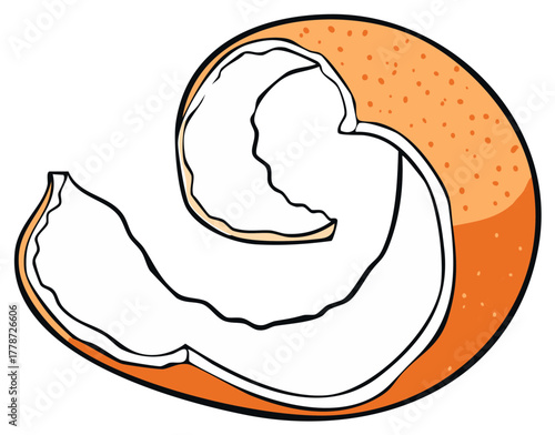 Swirl Peel of Orange with Distinct Pores and Rough Texture for Fruit or Citrus Display