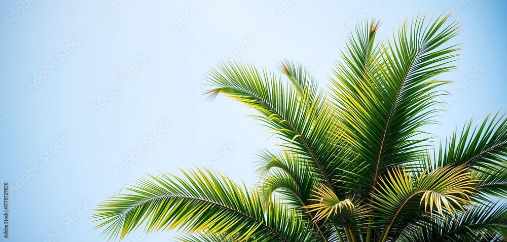 Fototapeta premium Lush green palm tree, vibrant leaves against clear sky, stock photo, silhouette