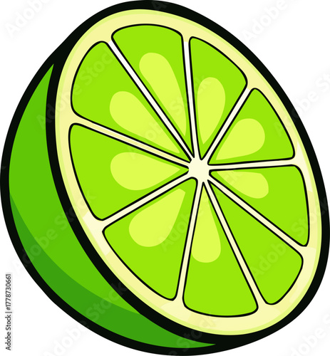 Lime Vector Art | Green Citrus Fruit Illustration | Fresh Organic Food Design
