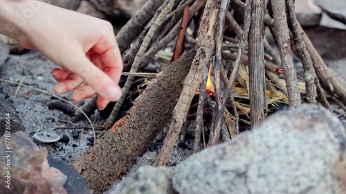 Wallpaper Mural Hand arranging driftwood teepee over embers in a campfire ring Torontodigital.ca