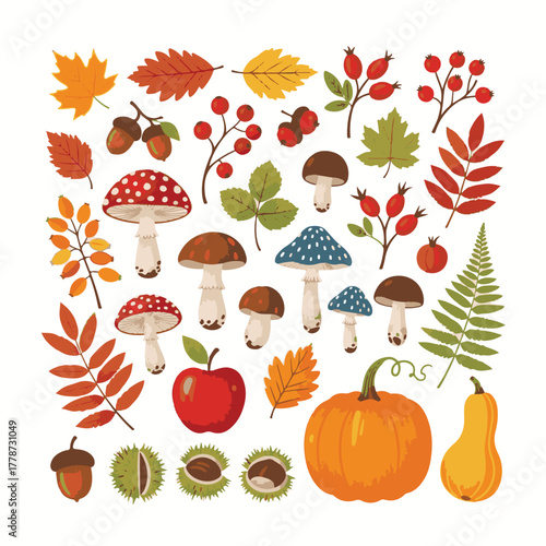 Hand-Drawn Autumn Elements Vector Set – Fall Leaves, Mushrooms, Acorns, Berries, Pumpkins, and Harvest Stickers