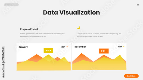 Data Visualization Infographic