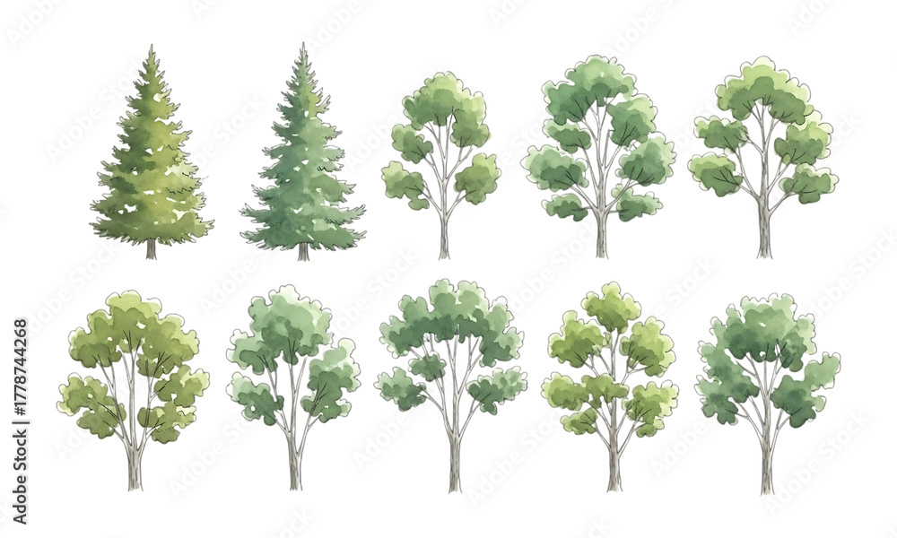 Obraz premium Collection of diverse deciduous and coniferous trees isolated on transparent background