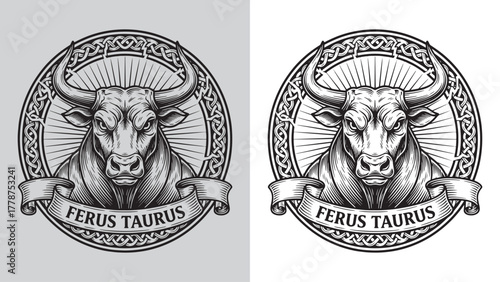 Furious Bull Head with Sunburst Rays and Celtic Knot Frame