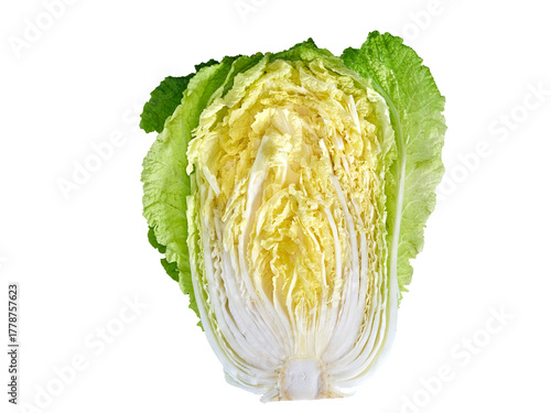 chinese cabbage on white background