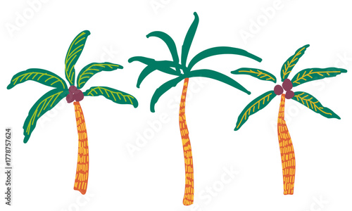 Tropical plants and nature. Three palm trees and coconuts. Simple color vector illustration.