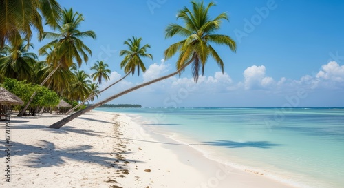 Wallpaper Mural Scenic tropical beach with palm trees and clear ocean under blue sky Torontodigital.ca