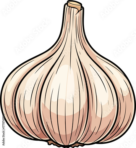 natures zesty gem infusing dishes with unmistakable aroma and powerful taste, isolated on transparent background