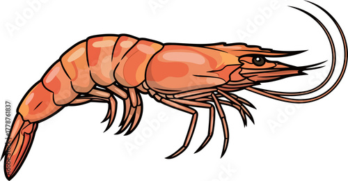 oceans bounty a perfectly poached prawn ready for culinary adventures, isolated on transparent background