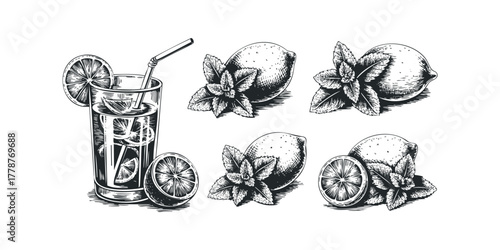 Lemonade and Fresh Mint Leaves in Vintage Style