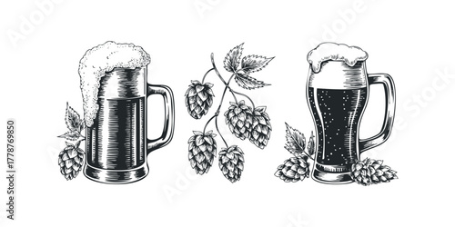Two Beer Mugs and Hop Cones Illustration