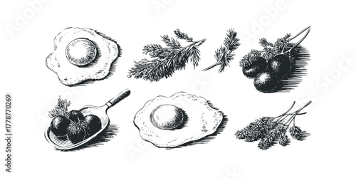 Black and white sketch of fried eggs and dill branches