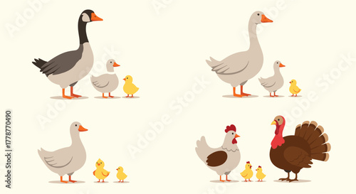 Illustrations of various adult farm birds including geese, ducks, chickens, and turkeys, each accompanied by their young offspring.