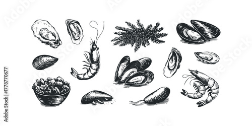 Sketch Collection of Fresh Seafood and Ocean Delicacies