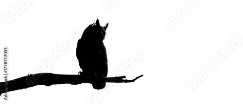 Silhouette of a Wise Owl Perched on a Branch, Watching Intently