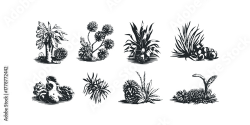 Collection of eight diverse botanical line art motifs