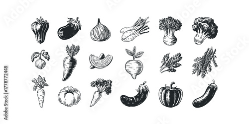 Collection of Hand Drawn Vegetables in Black and White Style