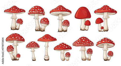 Collection of red and white spotted toadstools and plain red mushrooms in various sizes, isolated on a clean white background.