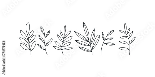 Line Art Botanical Sprigs Isolated on White